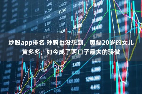 炒股app排名 孙莉也没想到，黄磊20岁的女儿黄多多，如今成了两口子最大的骄傲