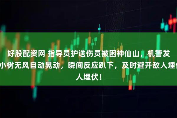 好股配资网 指导员护送伤员被困神仙山，机警发现小树无风自动晃动，瞬间反应趴下，及时避开敌人埋伏！